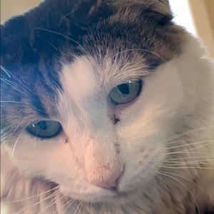 Meet your Posher, Jen